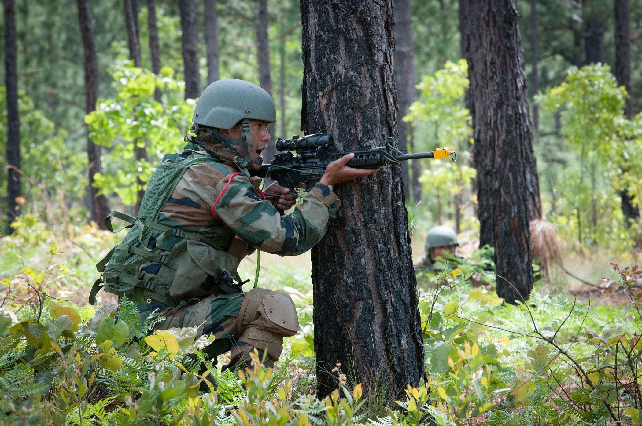 A soldier in combat dress trains beside a tree in a forest.